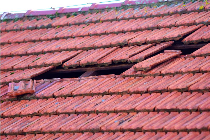 Damaged Roof Sections