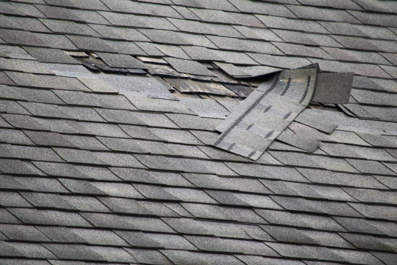 Damaged Shingles